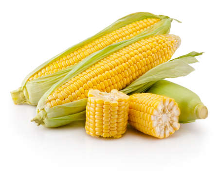 Corn on cobs kernels and broken isolated on a white backgroundの写真素材