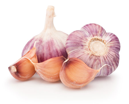 Two bulbs of garlic and cloves isolated on a white backgroundの写真素材