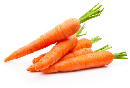 Fresh carrot isolated on a white backgroundの写真素材