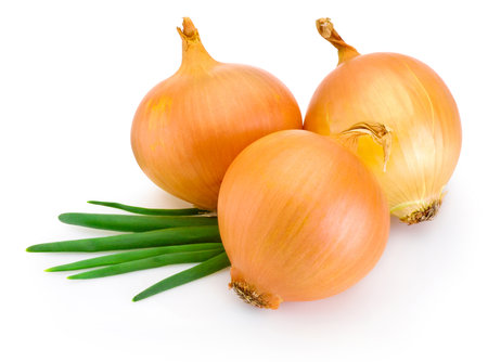Fresh bulbs of onion isolated on a white backgroundの写真素材