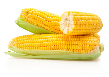 Broken corn on cobs kernels peeled isolated on a white backgroundの写真素材