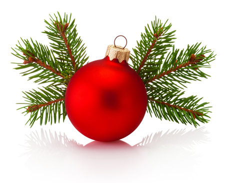 Christmas red bauble and fir tree branch isolated on a white backgroundの写真素材