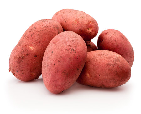 Red potatoes vegetables isolated on a white backgroundの写真素材