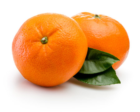 Two ripe tangerine and green leaf isolated on a white backgroundの写真素材