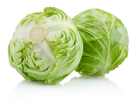 Two cabbage vegetable isolated on a white backgroundの写真素材