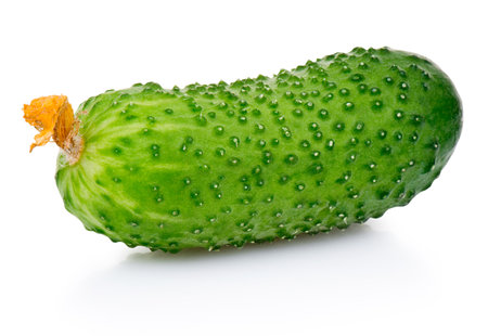 Fresh small cucumber isolated on a white backgroundの写真素材