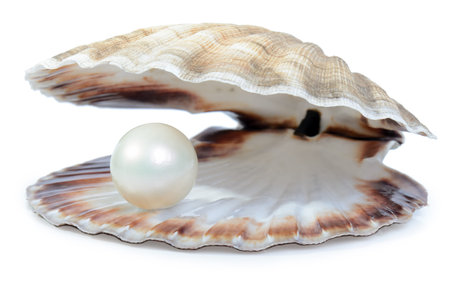 finding a nice surprise a pearl in a shell isolated on a white backgroundの写真素材