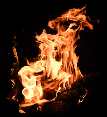 Flames of campfireの写真素材