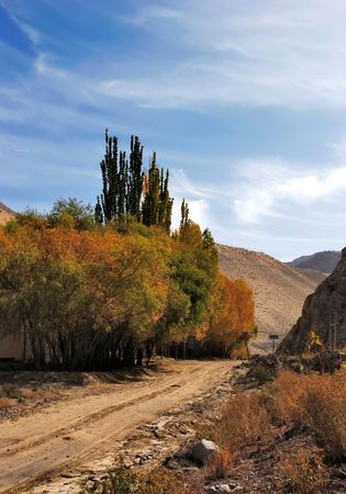 landscape of autumn with red trees and blue skyの写真素材