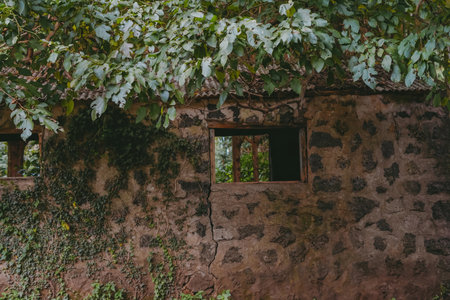 Old Traditional Stone House Wall and Window on Jeju Island, Korea, Covered with Ivy Vines and Tree Leavesの写真素材