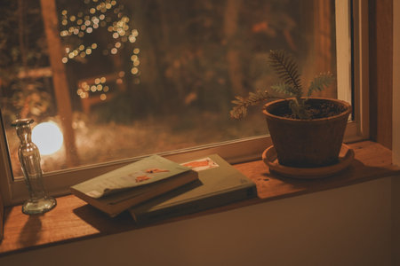 Books, Small Potted Plant, and a Vintage Glass Bottle on a Wooden Windowsill at Night