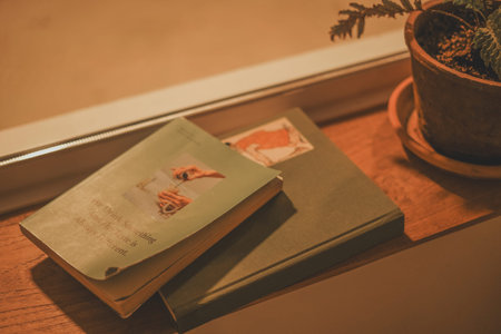 Close-up of Vintage Books and a Potted Fern on a Wooden Windowsill with Warm Light