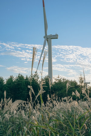 Wind Turbine and Reeds: Renewable Energy Landscapeの写真素材