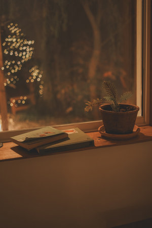 Stack of Books and a Small Potted Plant on a Wooden Windowsill, creating a Cozy Atmosphere with Warm Light at Nightの写真素材