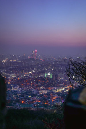 Seoul City Skyline Night View from Namsan Tower at Purple Twilight