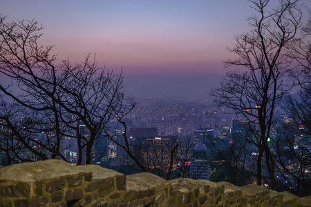 Seoul City Skyline Night View from Namsan Tower at Purple Twilight