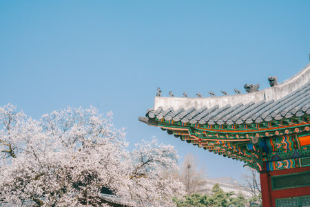Eaves and Delicate Dancheong Patterns of Deoksugung Palace's Traditional Architecture, Seoulの写真素材