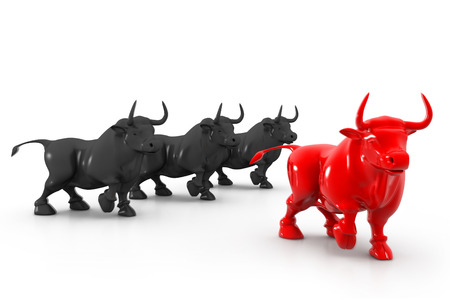 Business bull の写真素材