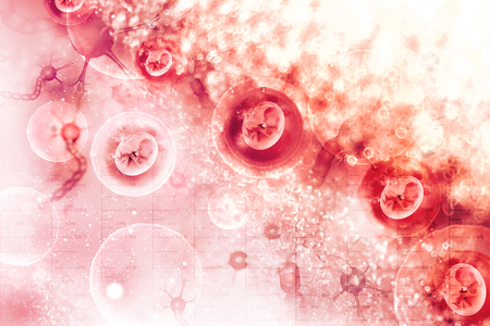 Human fetus on scientificの写真素材