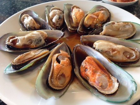 New Zealand Mussel 