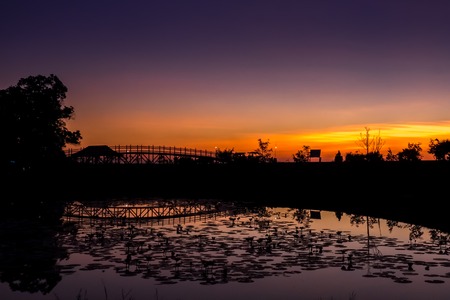 Red lotus sea, the most famous attraction of Udonthani, located in the northeast region of Thailand.の写真素材