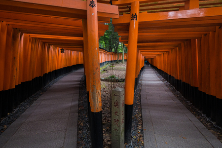 A walking path leads through a tunnel of torii gates at Fushimi Inari Shrine, An important Shinto shrine in southern Kyoto. It is famous for its thousands of vermilion torii gate, Japanのeditorial素材