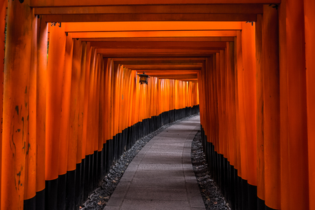 A walking path leads through a tunnel of torii gates at Fushimi Inari Shrine, An important Shinto shrine in southern Kyoto. It is famous for its thousands of vermilion torii gate, Japanのeditorial素材