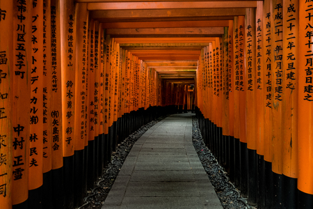 A walking path leads through a tunnel of torii gates at Fushimi Inari Shrine, An important Shinto shrine in southern Kyoto. It is famous for its thousands of vermilion torii gate, Japanのeditorial素材