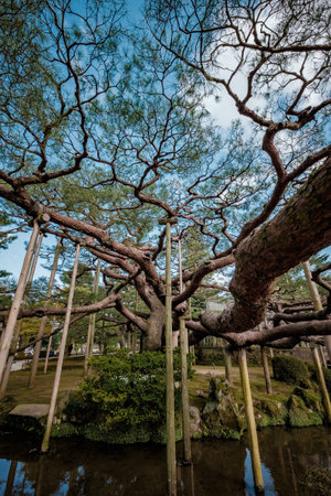 Landscape around Kenrokuen garden one of the most beautiful landscape gardens, Locate in Kanazawa...
