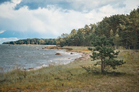 Baltic Sea and Coastline at Altja fishing village, Estoniaの写真素材
