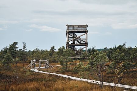 The Landscape of Bog / Wetland Area Around The Great Bog Trail of Kemeri National Park, Latviaの写真素材
