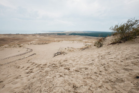The Landscape of Parnidis Dune in The Curonian Spit, Nida, Lituaniaの写真素材