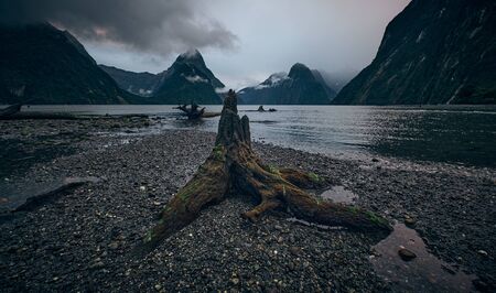 The Landscape of Milford Sound, New Zealandの写真素材