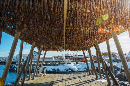A picturesque village nestled by the fjord, surrounded by snow-capped mountains under a clear blue sky.の写真素材