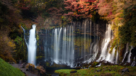 Beautiful Shiraito Falls in Fujinomiya, Japan, where multiple streams of water cascade down mossy cliffs into a serene pool below.の写真素材