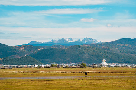 A panoramic view across the Napahai grasslands to a white Buddhist stupa and town, with majestic...