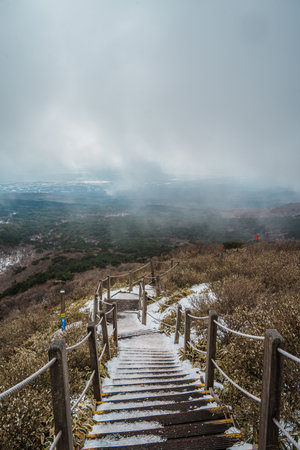 Snow-dusted wooden steps descend into a vast forested landscape under moody clouds on Yeongsil Trail, Hallasan, Jeju Island, South Korea.の写真素材