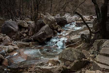 Large boulders and frozen water stream beneath bare winter trees in Seoraksan National Park, Sokcho.の写真素材