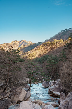 Large boulders and frozen water stream beneath bare winter trees in Seoraksan National Park, Sokcho.の写真素材