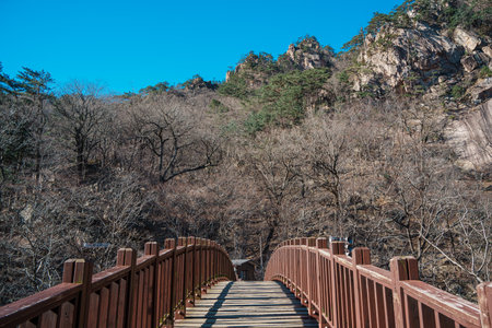 Wooden bridge and staircase crossing rocky landscape among bare trees in Seoraksan National Park during late autumn.の写真素材