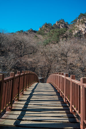 Wooden bridge and staircase crossing rocky landscape among bare trees in Seoraksan National Park during late autumn.の写真素材