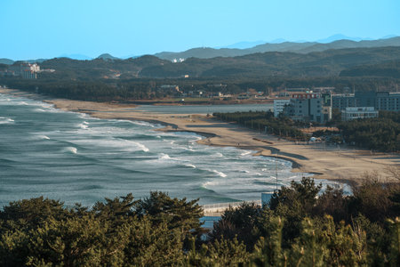 Rolling surf and sandy beaches along the East Sea viewed from Naksansa Temple, South Korea, with resorts on the headland and pine forested hills.の写真素材