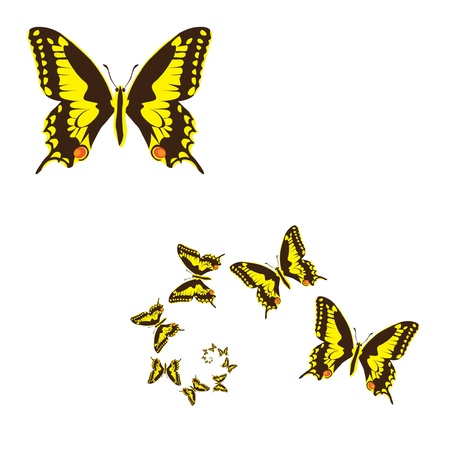 yellow butterflies illustrationのイラスト素材