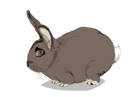 isolated cartoon rabbit on white - illustrationのイラスト素材