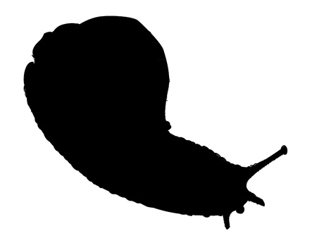 isolated snail silhouette - illustrationのイラスト素材