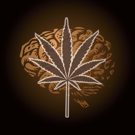  cannabis leaf and human brain background - illustrationのイラスト素材