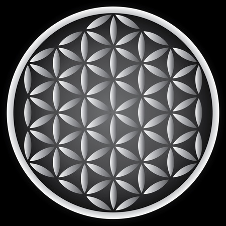 flower of life symbol - illustrationのイラスト素材
