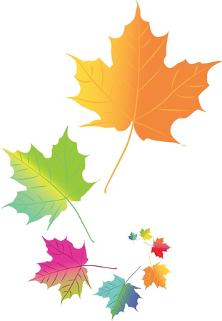 Autumn color leafs in space - isolated illustrationのイラスト素材