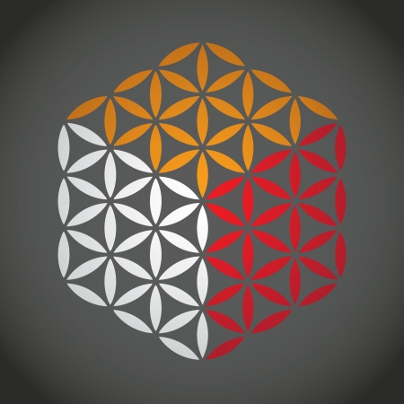 flower of life symbol color cube - illustrationのイラスト素材