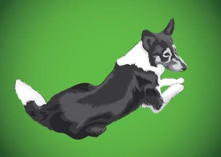 lying big dog, isolated illustrationのイラスト素材